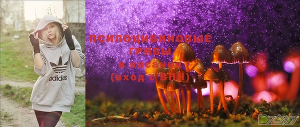 MDMA Premium VHQ Аркадак